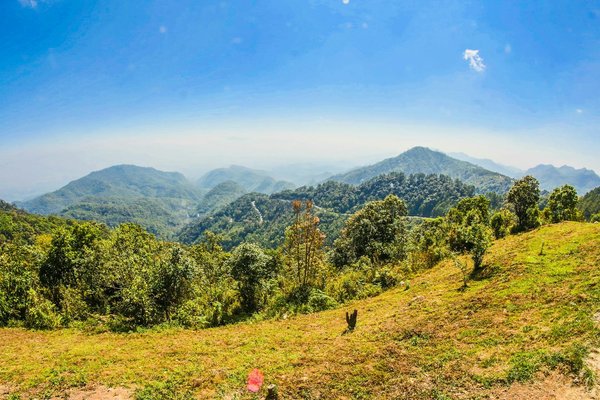 Maîtrisez l'Art de la Photographie de Paysage : Techniques Clés et Astuces Incontournables pour Capturer des Images Éblouissantes